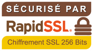 Encryption 256 bits protection